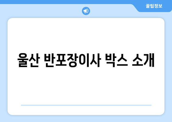 울산 반포장이사 박스 소개