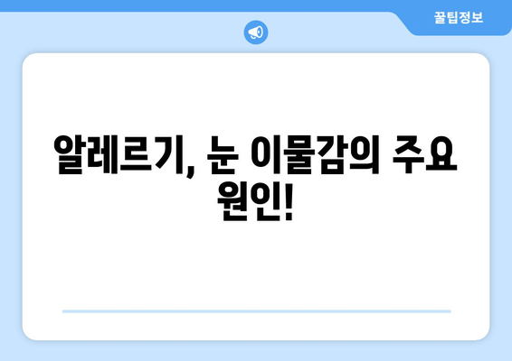 눈에 이물감? 5가지 원인과 증상 확인| 더 이상 불편함 참지 마세요! | 눈 이물감, 눈 통증, 먼지, 렌즈, 알레르기