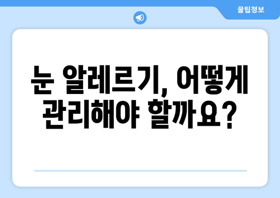 알레르기로 인한 눈 가려움, 통증, 부종| 원인과 해결책 | 눈 알레르기, 증상, 치료, 관리