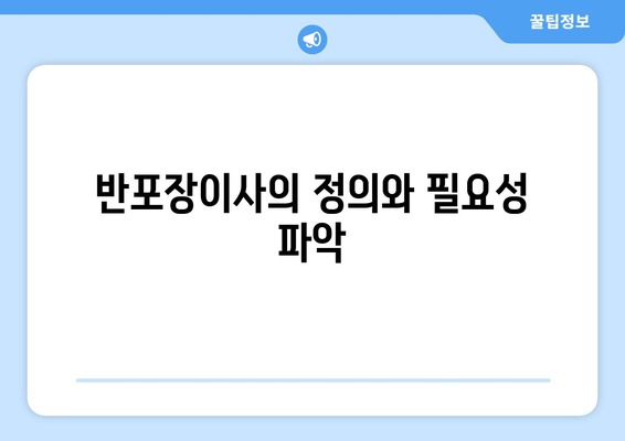 반포장이사의 정의와 필요성 파악