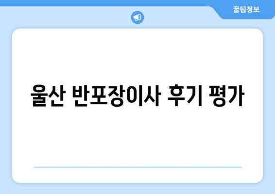 울산 반포장이사 후기 평가