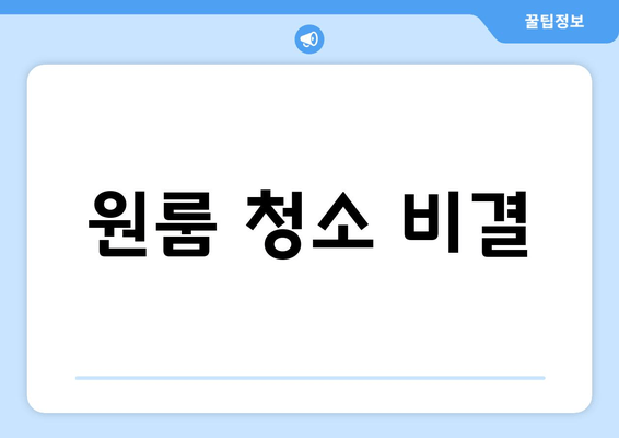 원룸 청소 비결