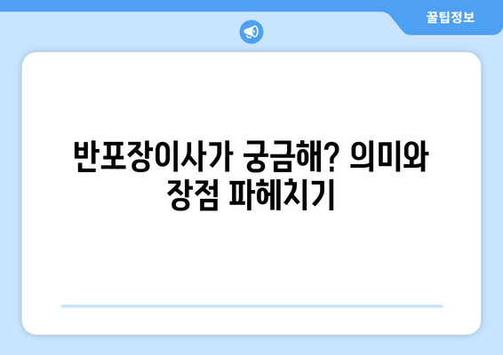 반포장이사가 궁금해? 의미와 장점 파헤치기