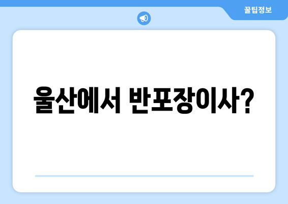 울산에서 반포장이사?