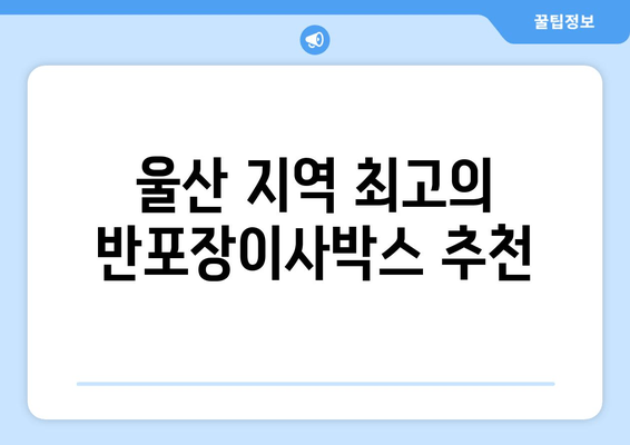 울산 지역 최고의 반포장이사박스 추천