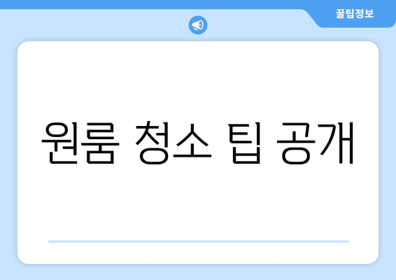 원룸 청소 팁 공개