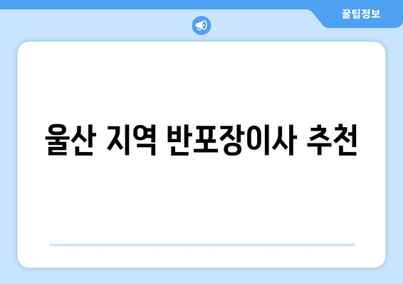 울산 지역 반포장이사 추천