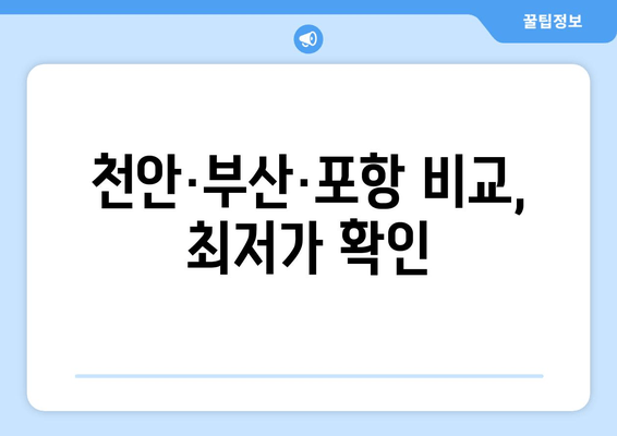 천안·부산·포항 비교, 최저가 확인