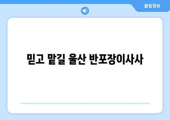 믿고 맡길 울산 반포장이사사