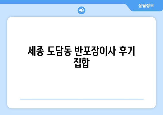 세종 도담동 반포장이사 후기 집합