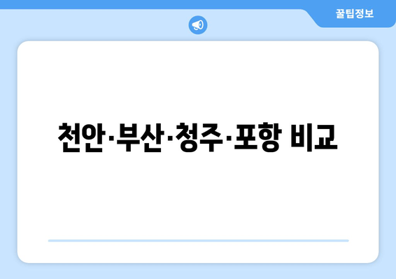 천안·부산·청주·포항 비교