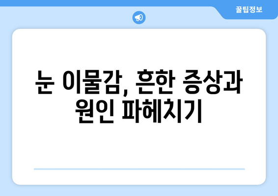 눈에 이물감, 5가지 원인과 통증 해결 솔루션 | 눈 통증, 이물감, 눈 건강