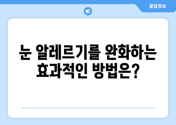 알레르기로 인한 눈 가려움, 통증, 부종| 원인과 해결책 | 눈 알레르기, 증상, 치료, 관리