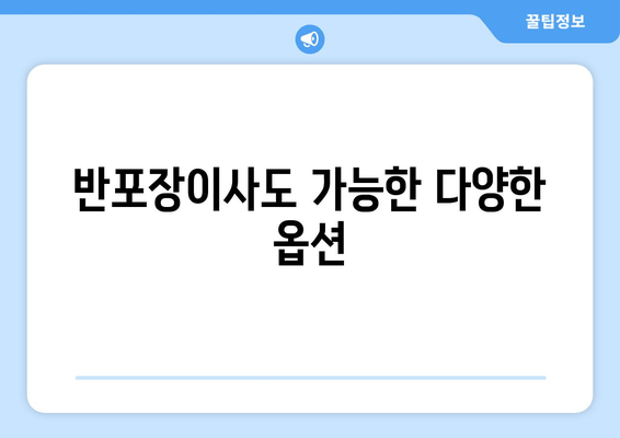 반포장이사도 가능한 다양한 옵션