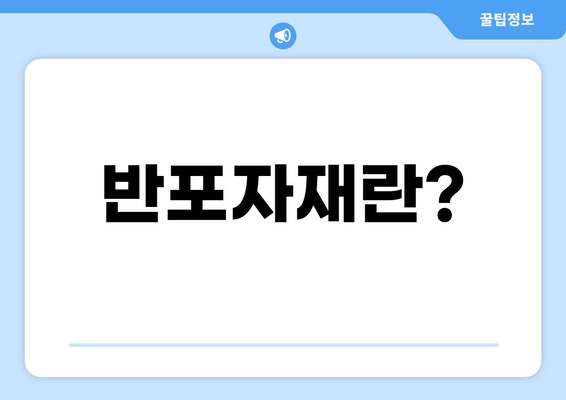 반포자재란?