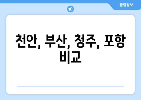 천안, 부산, 청주, 포항 비교