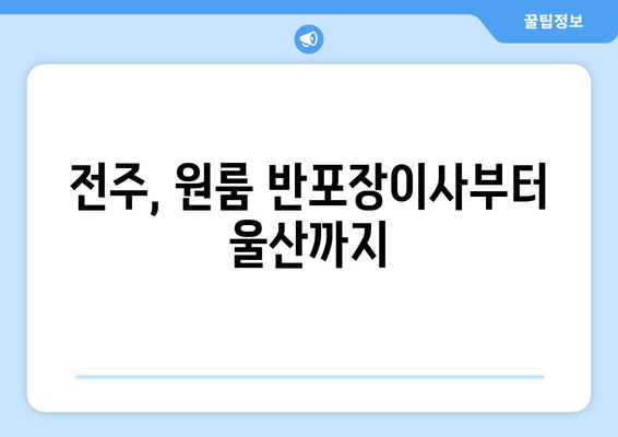 전주, 원룸 반포장이사부터 울산까지