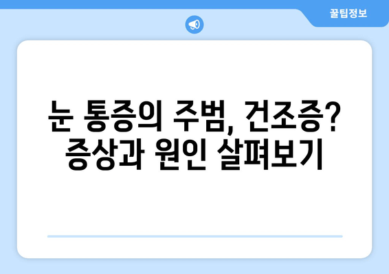 눈 통증, 녹내장이 아닌 건조함일 수도 있다? | 눈 통증 원인, 건조증 증상, 녹내장과의 차이점