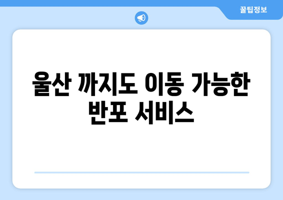 울산 까지도 이동 가능한 반포 서비스