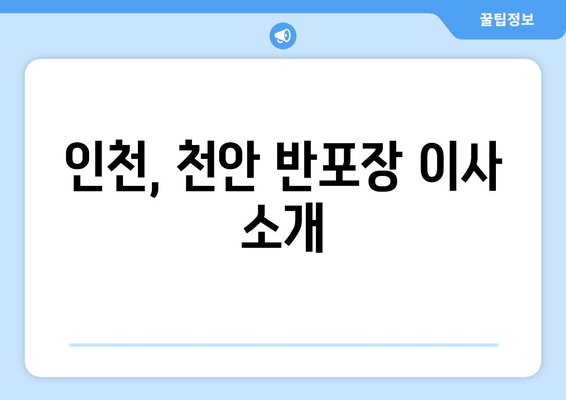 인천, 천안 반포장 이사 소개