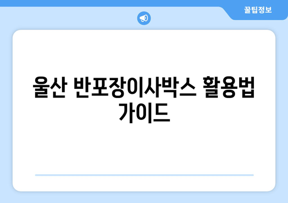 울산 반포장이사박스 활용법 가이드