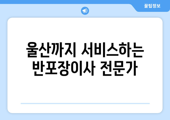 울산까지 서비스하는 반포장이사 전문가