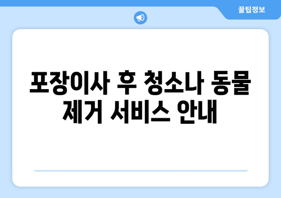 포장이사 후 청소나 동물 제거 서비스 안내