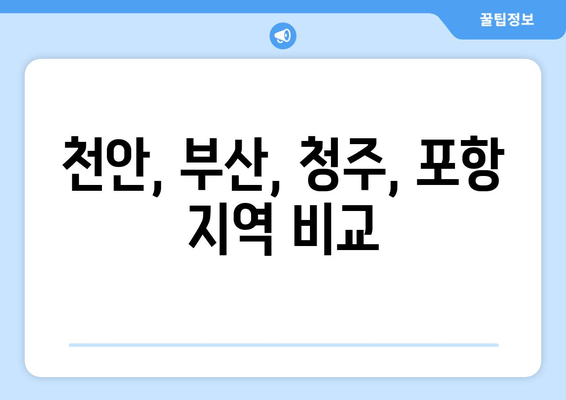 천안, 부산, 청주, 포항 지역 비교