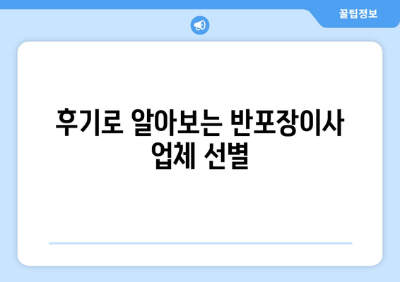 후기로 알아보는 반포장이사 업체 선별