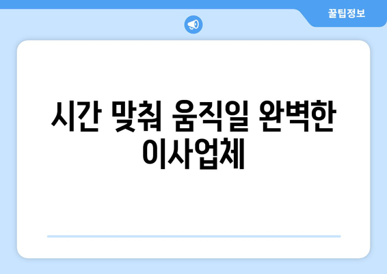 시간 맞춰 움직일 완벽한 이사업체