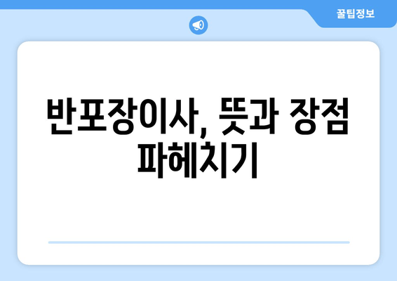 반포장이사, 뜻과 장점 파헤치기