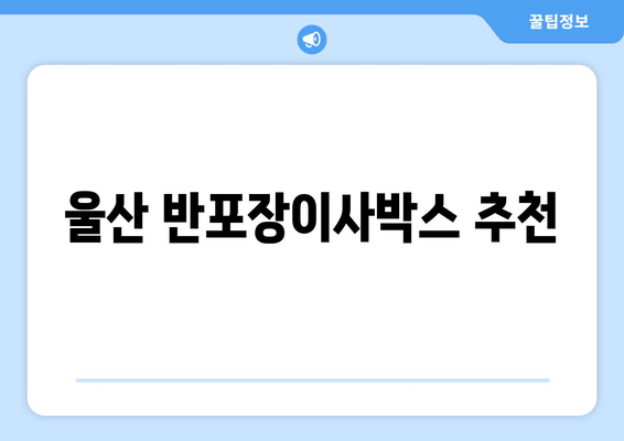 울산 반포장이사박스 추천