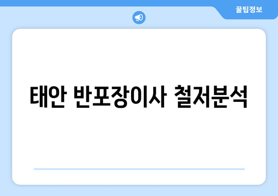 태안 반포장이사 철저분석