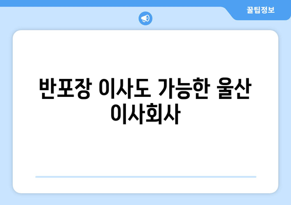 반포장 이사도 가능한 울산 이사회사