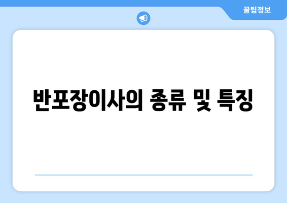 반포장이사의 종류 및 특징