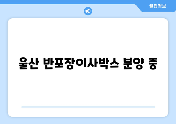 울산 반포장이사박스 분양 중