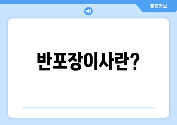 반포장이사란?