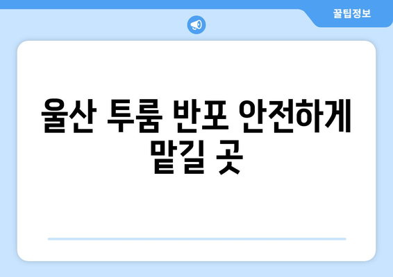 울산 투룸 반포 안전하게 맡길 곳