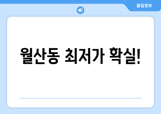 월산동 최저가 확실!