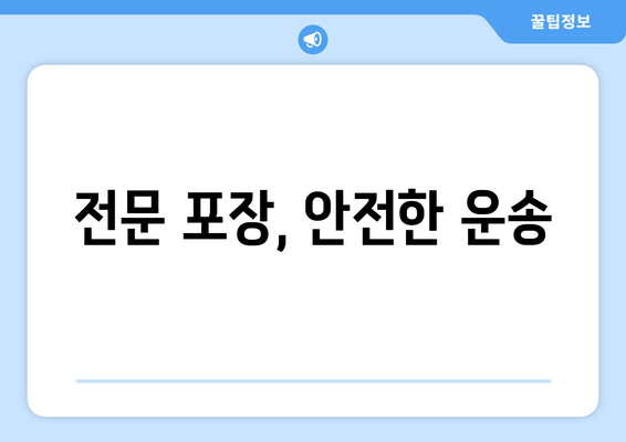 전문 포장, 안전한 운송