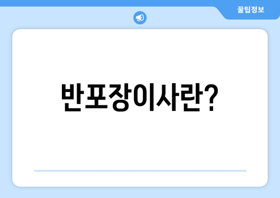 반포장이사란?