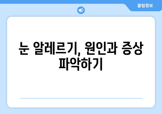 알레르기 검사 결과 눈 통증, 눈 부종이 나타났을 때 | 알레르기, 눈 질환, 증상, 치료, 관리