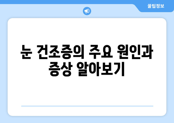 눈 건조증, 이젠 걱정 끝! 관리 방법과 통증 원인 완벽 해결 | 눈 건조증 원인, 증상, 치료, 예방