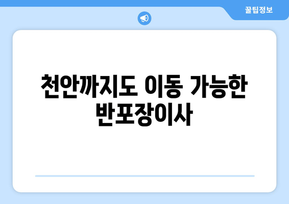 천안까지도 이동 가능한 반포장이사