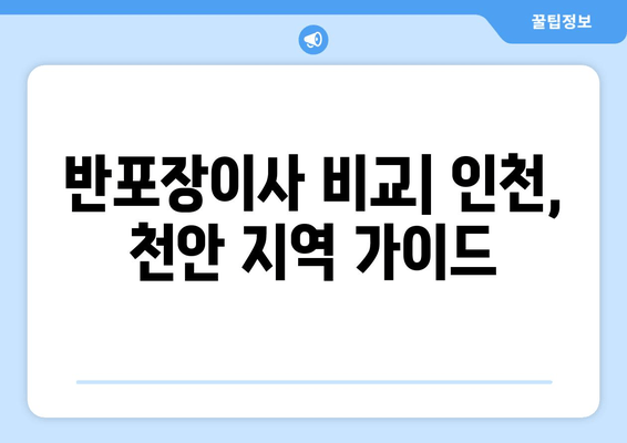 반포장이사 비교| 인천, 천안 지역 가이드