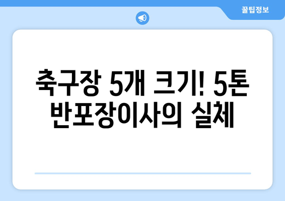 축구장 5개 크기! 5톤 반포장이사의 실체