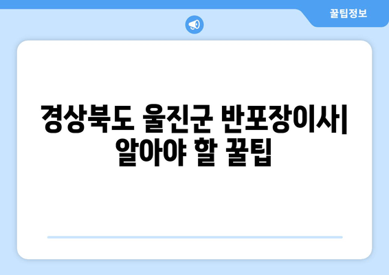 경상북도 울진군 반포장이사| 알아야 할 꿀팁