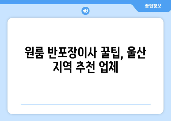 원룸 반포장이사 꿀팁, 울산 지역 추천 업체