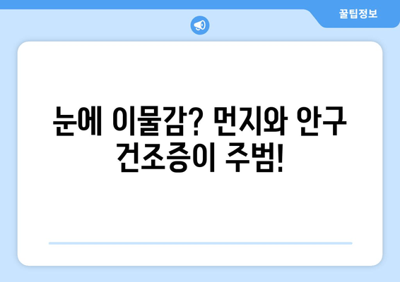 눈에 이물감을 유발하는 5가지 주요 원인 | 눈 건강, 안구 건조증, 먼지, 알레르기, 염증