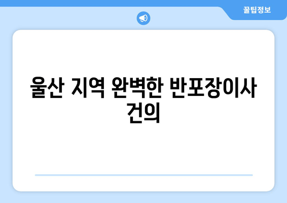 울산 지역 완벽한 반포장이사 건의